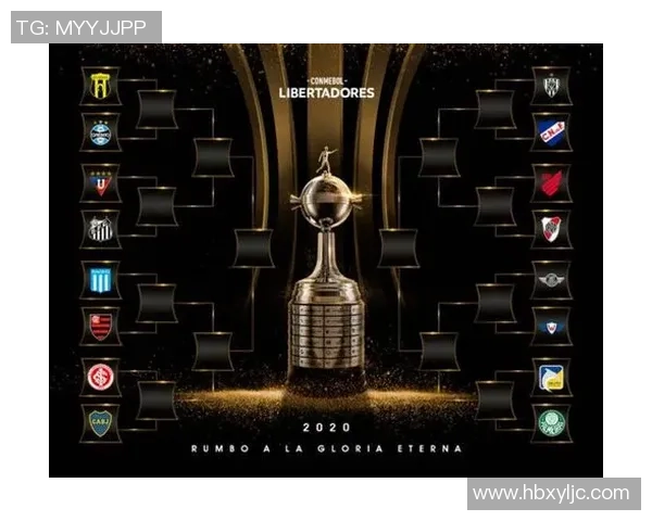 桑托斯对阵阿根廷独立精彩直播全程回顾与赛后分析